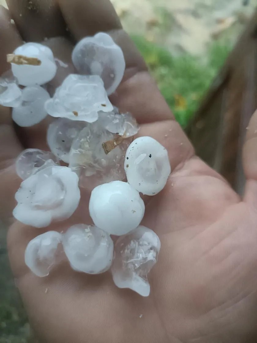 Сотні пошкоджених будинків, поламані дерева та постраждалі: Польщею прокотився сильний буревій - фото і відео 7