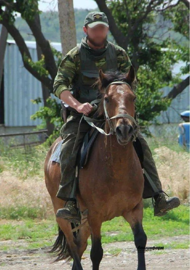 Оккупанты привезли на фронт лошадей из Башкирии: чтоб 1