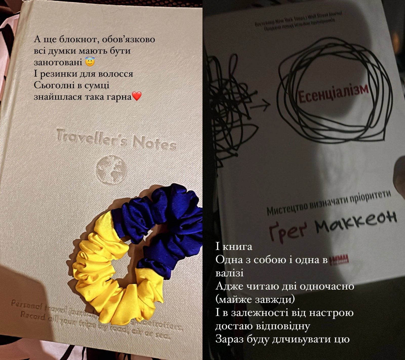 Книга та блокнот Катерини Осадчої