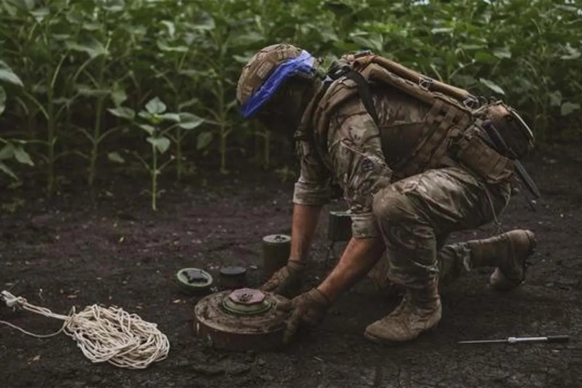 Минные поля Минные поля