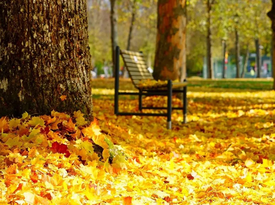 Зараз головну роль у сприйнятті відіграє зір, проте так було не завжди