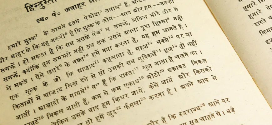 Незважаючи на широку поширеність хінді в Індії, у повсякденному житті місцеві користуються своєрідними мовними міксами: хінглішем, базарі хіндустані