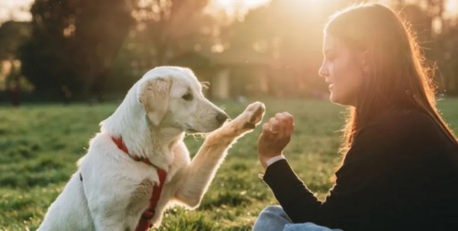 Целью праздника является напоминание всем владельцам об ответственности за тех, кого приручили
