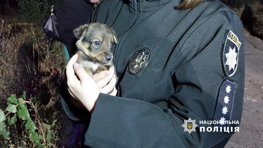 Спасенный щенок. Фото: Нацполиция Одесской области Спасенный щенок. Фото: Нацполиция Одесской области