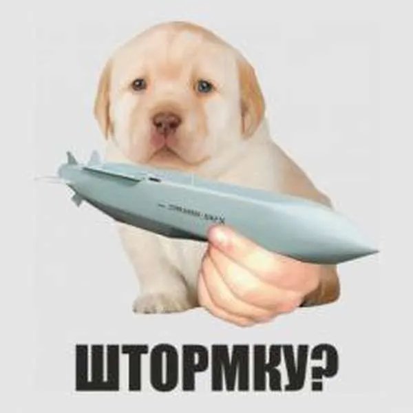 Может штормку?