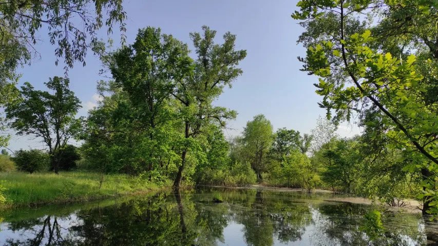 Галерний острів