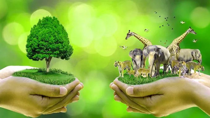 Задача праздника - пропагандировать сохранение благоприятной среды для нынешнего и будущих поколений. Украинцы присоединяются к этому дню с целью сохранения природы.