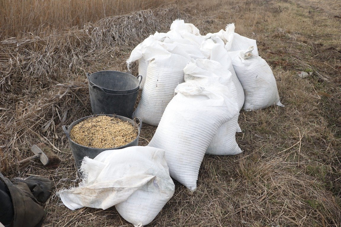 Предположительно, перевернутый транспорт уберут с обочины, когда мужчины соберут всю кукурузу Предположительно, перевернутый транспорт уберут с обочины, когда мужчины соберут всю кукурузу