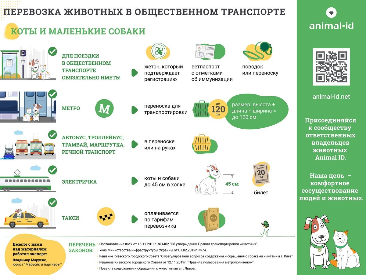 Как перевозить котов и маленьких собак Как перевозить котов и маленьких собак