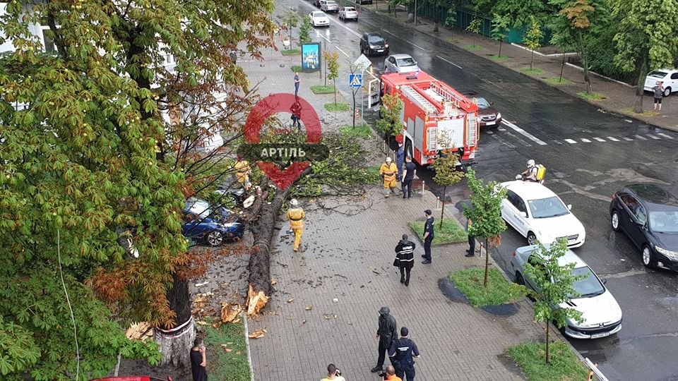 В Киеве стихия завалила деревья и затопила улицы: фото и видео последствий непогоды 1