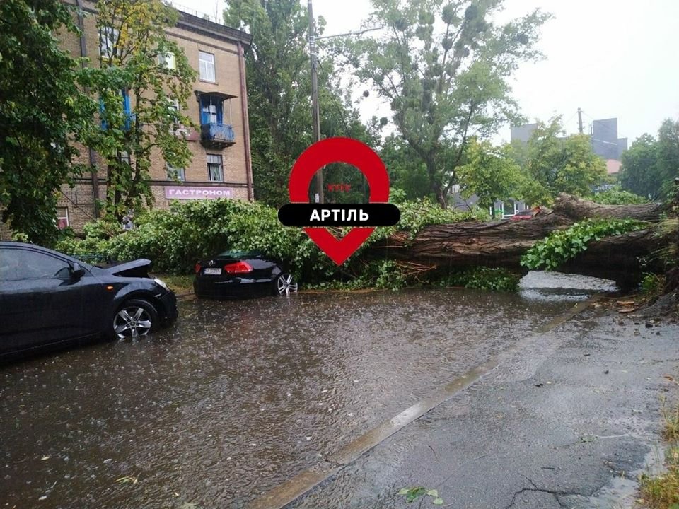 В Киеве стихия завалила деревья и затопила улицы: фото и видео последствий непогоды 2