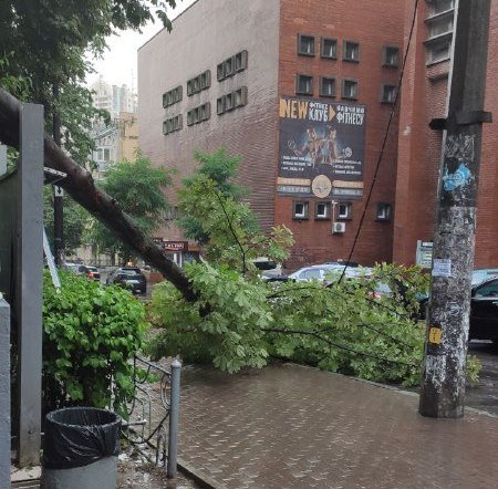 В Киеве стихия завалила деревья и затопила улицы: фото и видео последствий непогоды 3