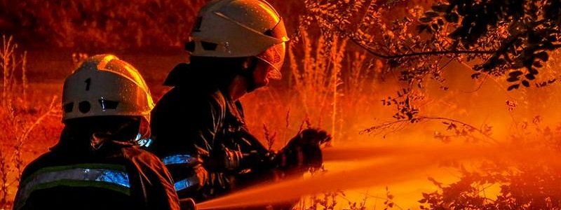 Под Днепром загорелся хвойный лес