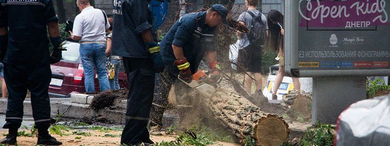 Как в Днепре ликвидировали последствия непогоды