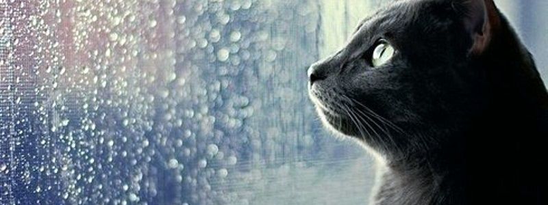 Погода на 30 августа: в Днепре будет дождливо и пасмурно