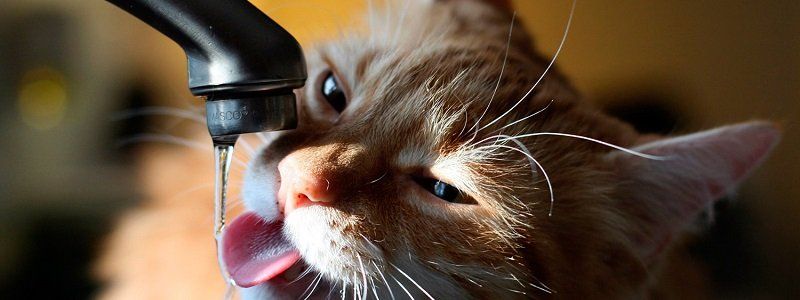 В Днепре отключат воду: ищите свой адрес