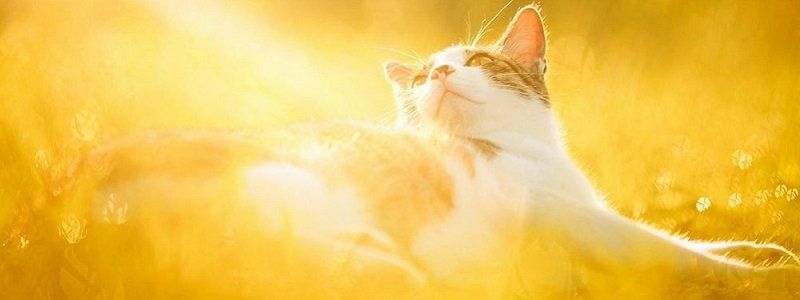 Погода на 16 сентября: в Днепре будет тепло и без осадков