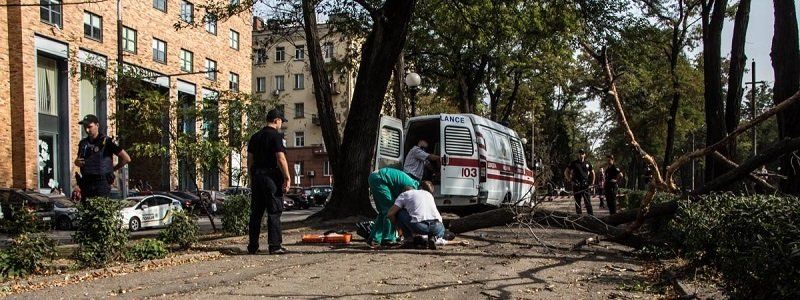 В центре Днепра от упавшей ветки погибла девушка