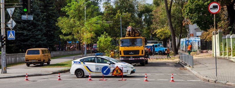 Непогода в Днепре: Горзеленстрой продолжает убирать деревья