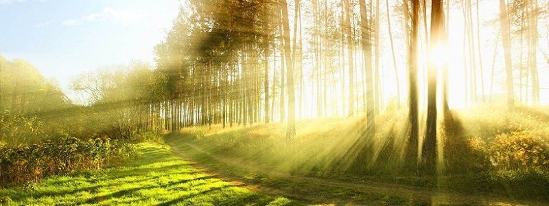 Погода на 26 сентября: в Днепре будет ясно и прохладно