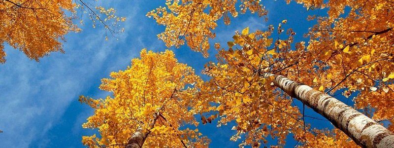 Погода на 27 сентября: в Днепре будет ясно и прохладно