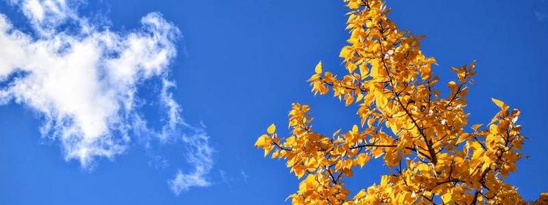 Погода на 28 сентября: в Днепре будет прохладно и малооблачно