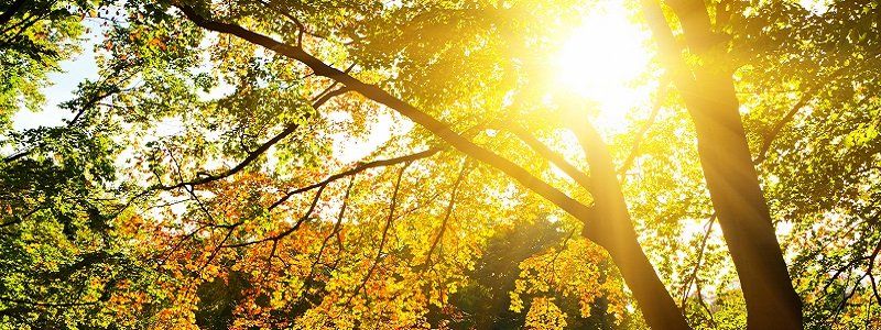 Погода на 29 сентября: в Днепре будет холодно и ясно