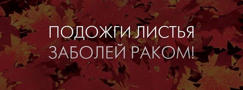 Сжигание листьев - объединение сил в борьбе с теми, кто нас убивает