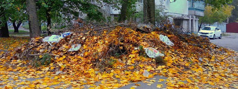В Днепре на Новоорловской свалку не убирают с апреля