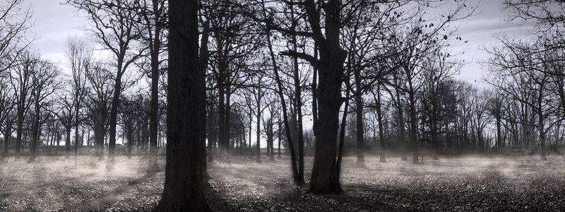 Погода на 24 октября:  в Днепре будет пасмурно и прохладно