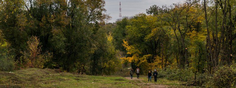 В ожидании реконструкции: как выглядит парк "Зеленый Гай" сегодня