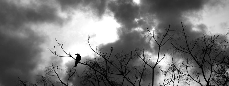 Какую погоду ждать жителям Днепра в ноябре