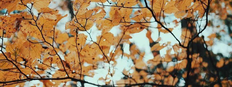 Погода на 29 октября: в Днепре будет облачно и прохладно