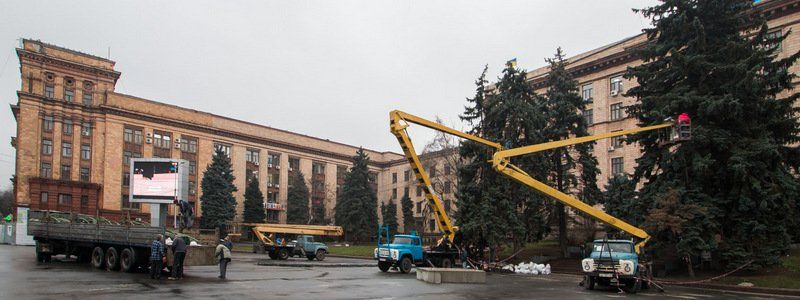 В Днепре на площади Героев Майдана начали устанавливать новогоднюю елку