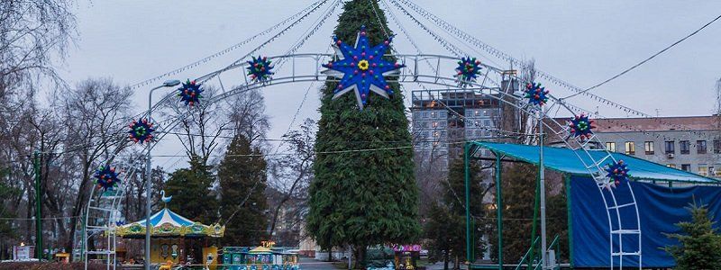 В парке Глобы откроют главную елку Днепра