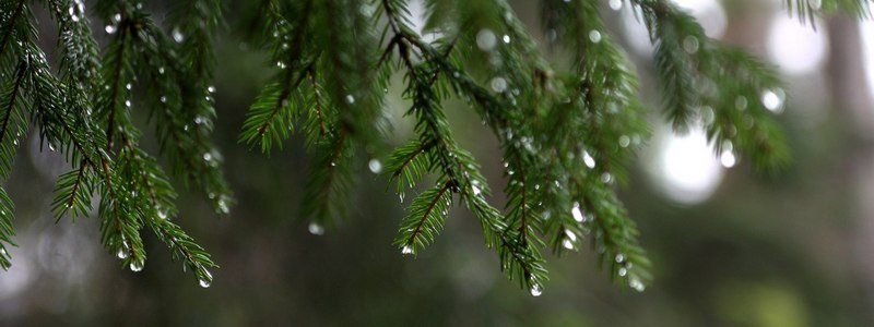 Погода на 3 января: в Днепре будет пасмурно и дождливо