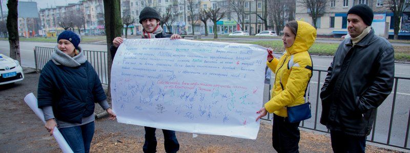 На проспекте Поля прошел митинг из-за спиленной липы