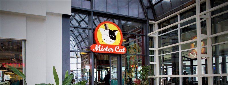 Драка в Mister Cat в ЦУМе: подробности разборок охраны кафе с посетителями