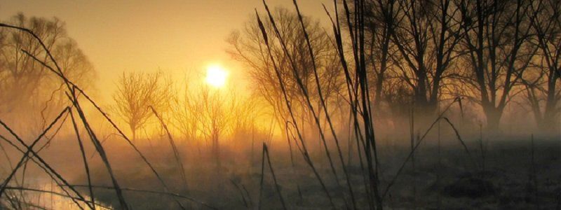 Погода на 14 января: в Днепре будет ясно и без осадков