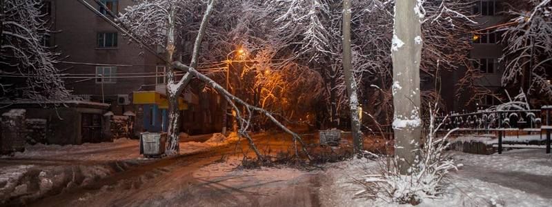 В Днепре на одной из улиц упавшая ветка перекрыла дорогу