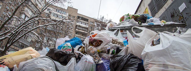 Во дворе на проспекте Поля появилась мусорная гора