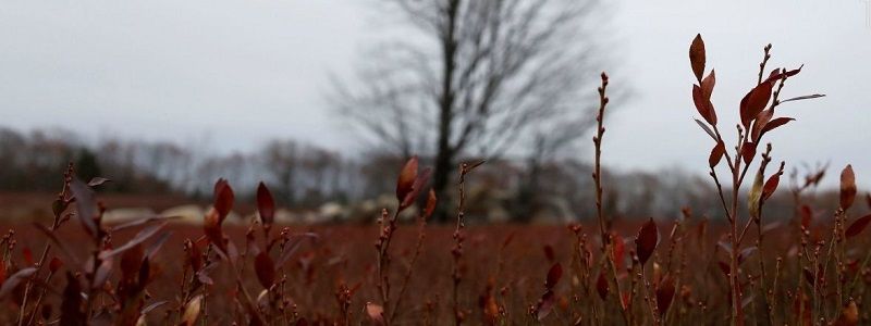 Погода на 5 февраля: в Днепре без осадков