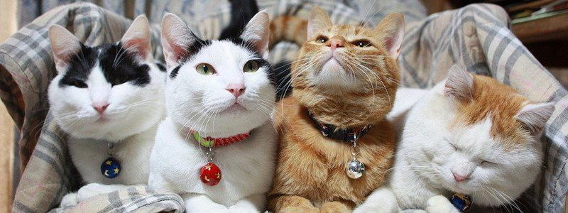 22 февраля: какой сегодня праздник