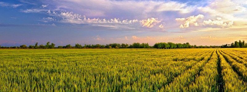 10 марта: какой сегодня праздник