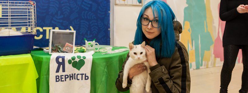 В Днепре в ТРЦ Dafi коты искали себе хозяев