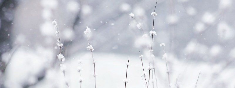 Погода на 21 марта: в Днепре будет идти снег