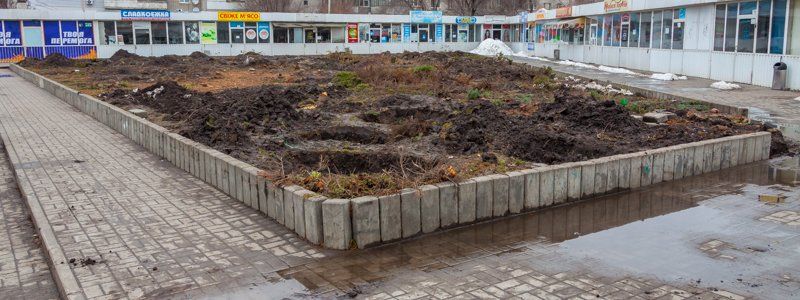 На Янтарной таинственно исчезли деревья и началась подготовка к стройке