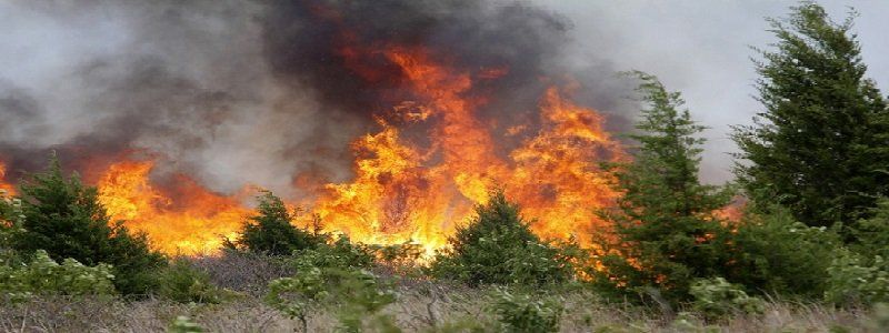 Пожарная безопасность на майские праздники и сезон тишины в лесах Днепропетровщины