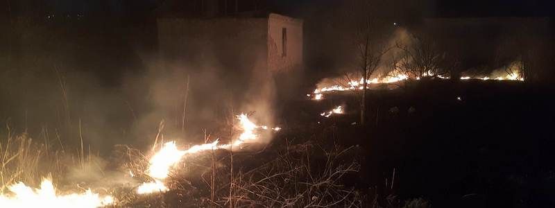 В Днепре рядом с заправкой горели сухостой и камыши