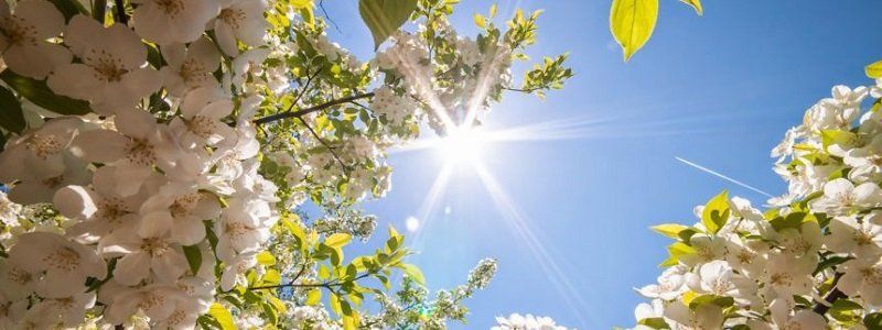 Погода на 8 апреля: в Днепре будет ясно